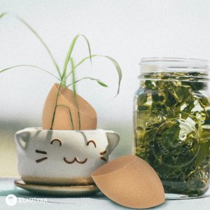 Green Tea Makeup Sponge