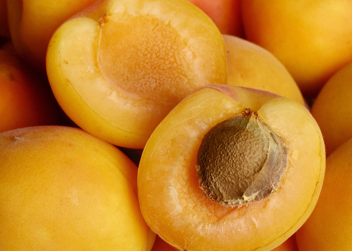 apricot